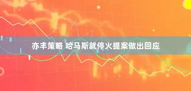 亦丰策略 哈马斯就停火提案做出回应