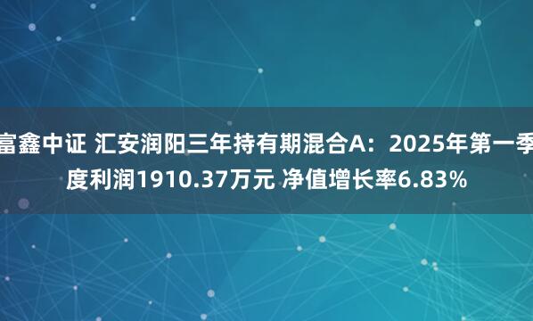 富鑫中证 汇安润阳三年持有期混合A：2025年第一季度利润1910.37万元 净值增长率6.83%